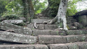 和歌山城の小人